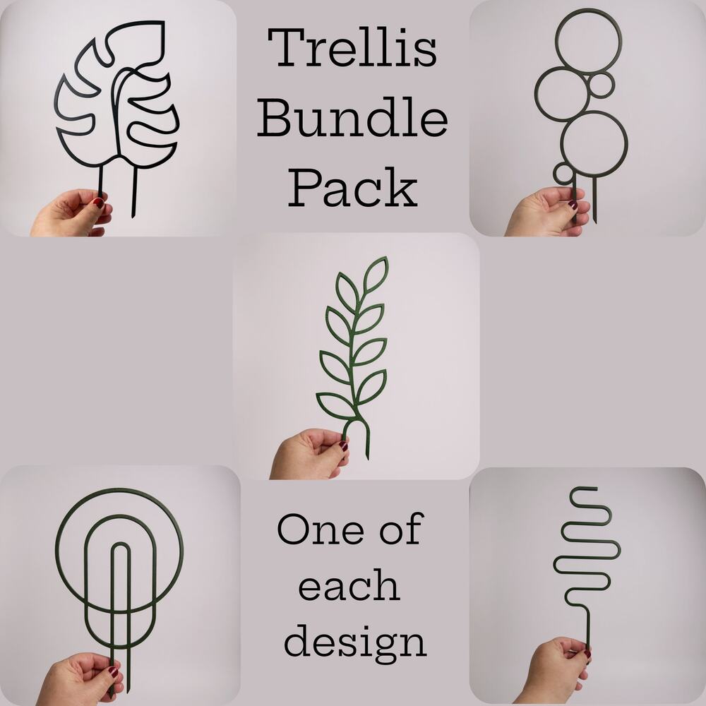 Modern Plant Trellis, Squiggle Shaped Plant Support, Indoor Garden Decor
